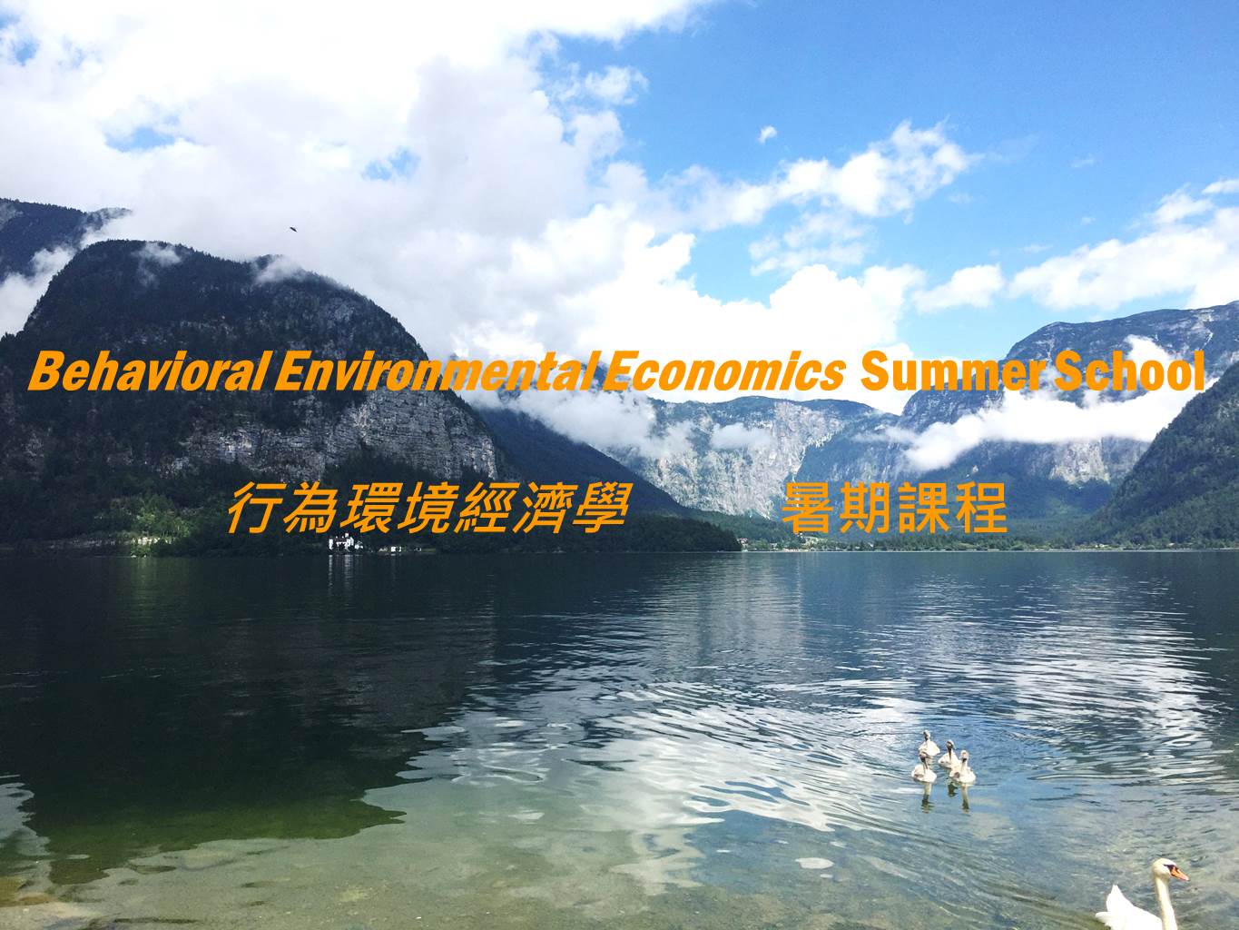 公告封面1 837f8